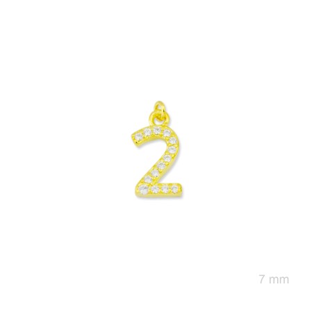 Charm de Plata de Ley (Número 2)