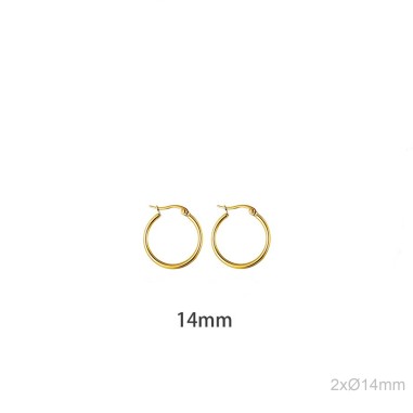 Stainless Steel Earrings