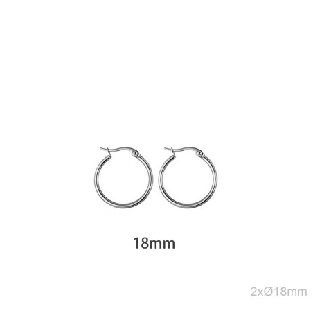 Stainless Steel Earrings