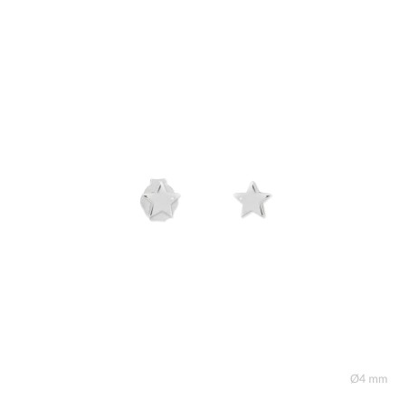 Pendientes de Plata de Ley