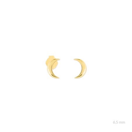 Boucles d'oreilles en Argent