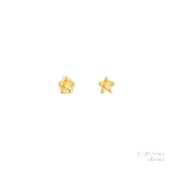 Pendientes de Plata de Ley...