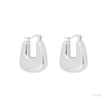 Stainless Steel Earrings