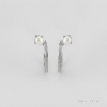 Pendientes de Plata de Ley