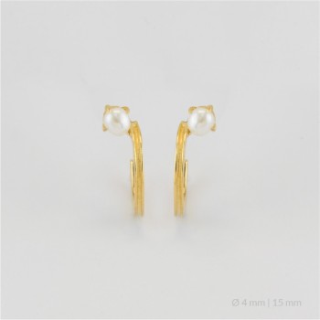 Boucles d'oreilles en Argent