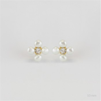 Pendientes de Plata de Ley