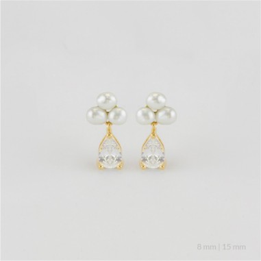 Boucles d'oreilles en Argent