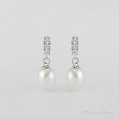 Silver Earrings