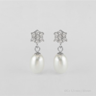 Pendientes de Plata de Ley