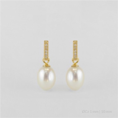 Boucles d'oreilles en Argent