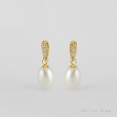 Boucles d'oreilles en Argent