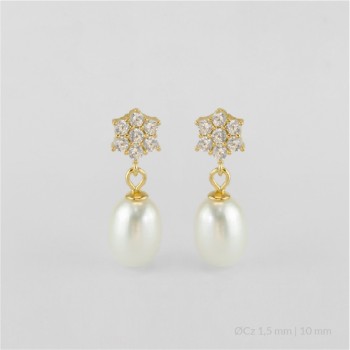 Pendientes de Plata de Ley
