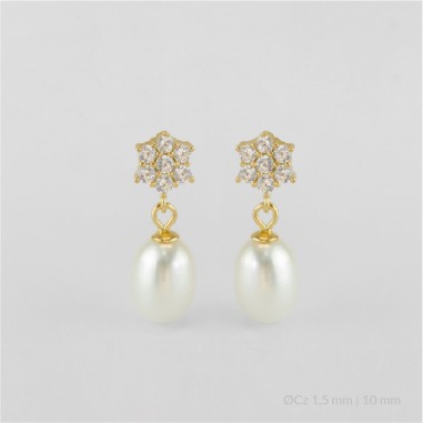 Pendientes de Plata de Ley