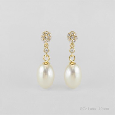 Pendientes de Plata de Ley