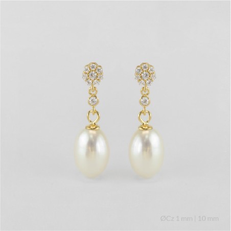 Boucles d'oreilles en Argent