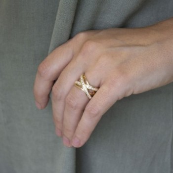 Anillo de Plata de Ley 2