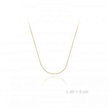 Silver Chain