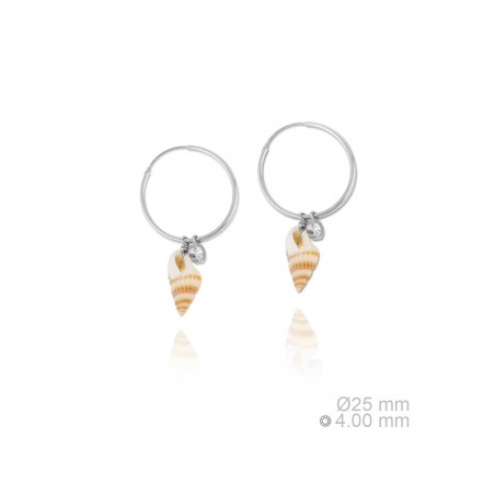 Boucles d'oreilles en Argent