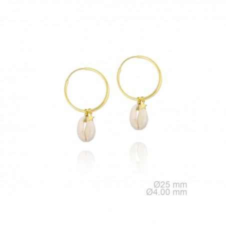 Silver Earrings with Mother of Pearls