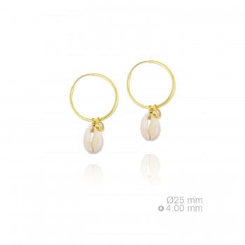Silver Earrings with Mother...