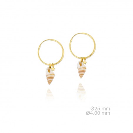 Silver Earrings with Mother of Pearls