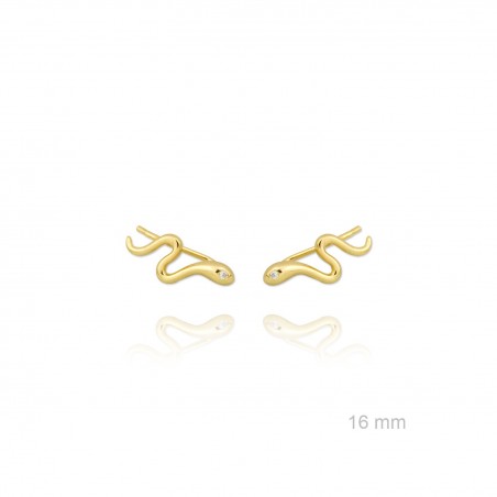 Escaladores de orelha em Prata Esterlina