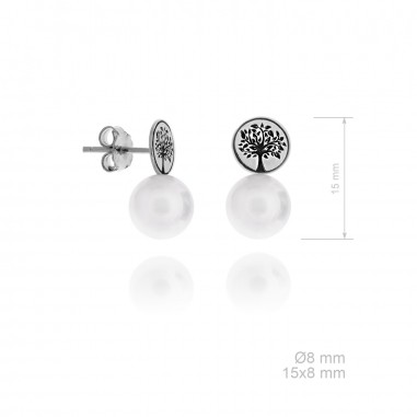 Silver Earrings 