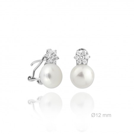 Boucles d'oreilles en Argent