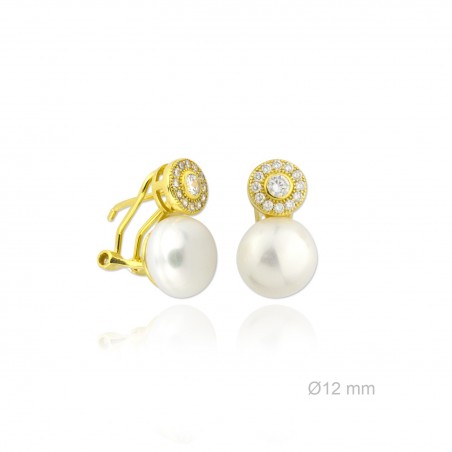 Boucles d'oreilles en Argent